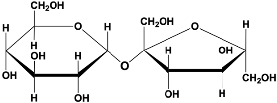 <p>hold together di-, oligo-, and polysaccharides, formed through condensation reactions, covalent bond</p>