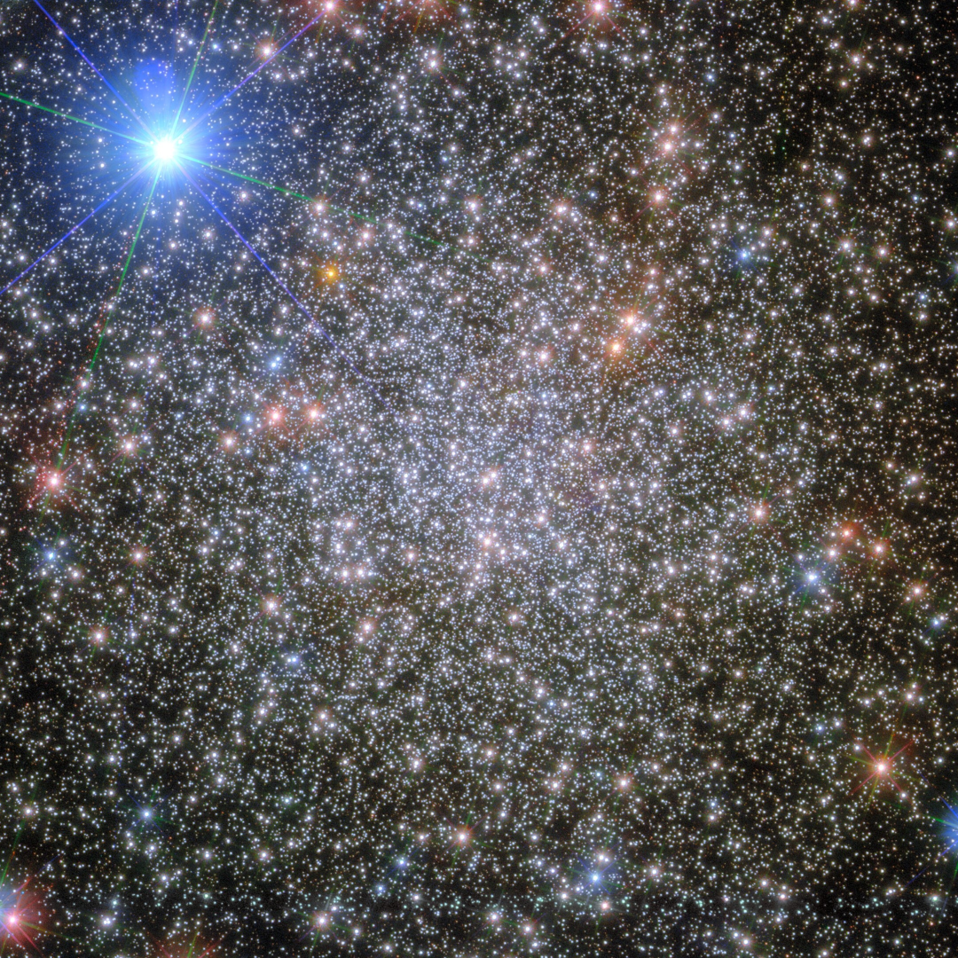 <p>star (n) /stɑː/</p>