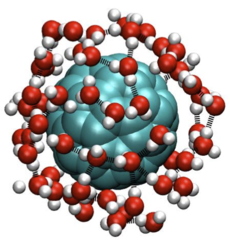 <p>- When water encounters a hydrophobic molecule, it cannot form hydrogen bonds with it. </p><p>- To maintain its own network, the water molecules are forced to build a highly ordered, rigid, ice-like cage structure around the nonpolar molecule. </p><p>- Physical Property Impact: Because this structure forces water to stop tumbling freely, it creates a state of very low entropy. This structural rigidity is the thermodynamic reason why nonpolar substances resist dissolving in water.</p>