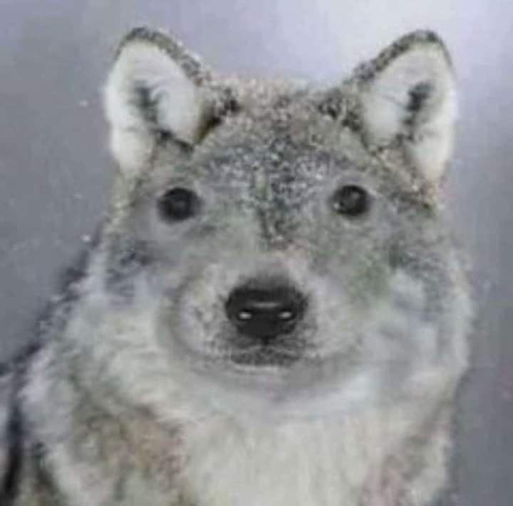 <p><span style="background-color: transparent;"><span>Element</span></span></p>