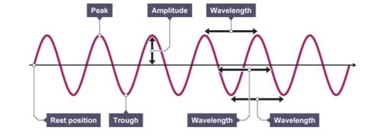 <ol><li><p>Peak</p></li><li><p>Trough</p></li><li><p>Amplitude</p></li><li><p>Wavelength</p></li></ol><p></p>