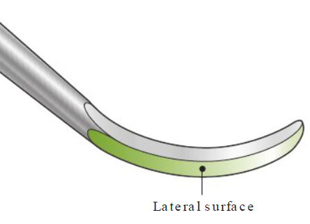 <ul><li><p>Side surfaces of working end (2 on either side)</p></li><li><p>Green shaded area</p></li></ul><p></p>