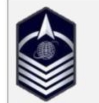 <p>USSF Enlisted Ranks</p>