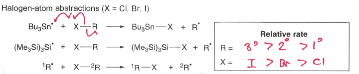 <p>A radical can react with an X-R molecule to form a more stable R* radical and a molecule of R-X containing a weaker bond.</p><ul><li><p>Rate increases when R is tertiary and X is a larger halogen.</p></li></ul><p></p>