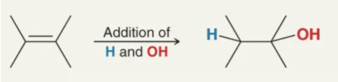 <p>addition of H and OH</p>