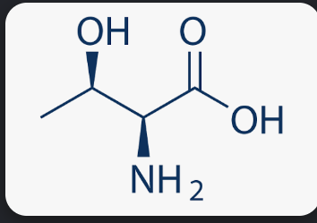 <p>What is this amino acid? </p>