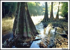 <p>overwhelm or flood with water</p>