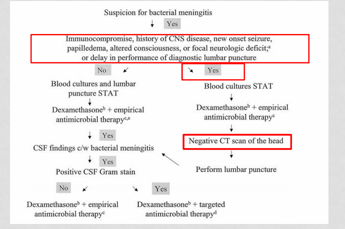 <p></p><ul><li><p>Immunocompromised</p></li><li><p>History of CNS disease</p></li><li><p>New onset seizure</p></li><li><p>Papilledema</p></li><li><p>Altered consciousness</p></li><li><p>Focal neurologic deficit</p></li><li><p>Delay in performing LP</p></li></ul><p></p>