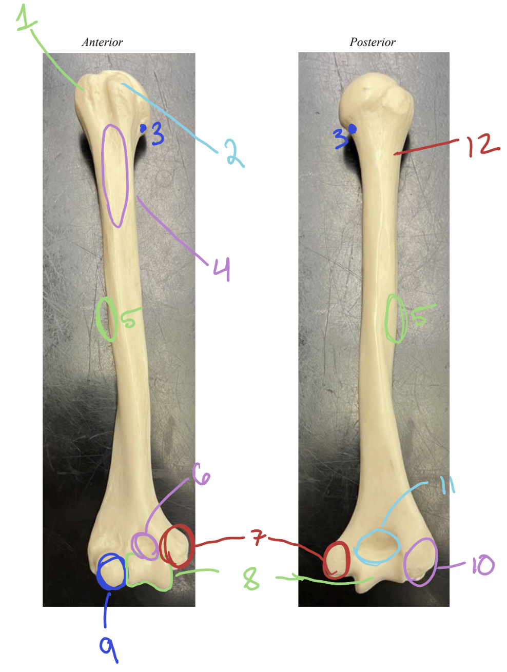 <p>6</p>