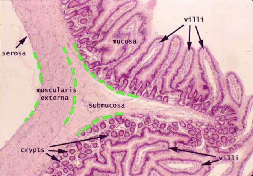 <p>What is this?</p>