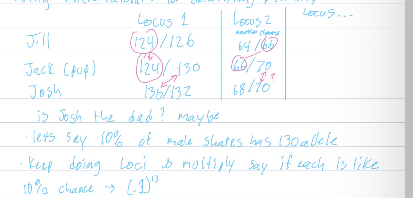 <ul><li><p>For each individual look at a chart of genotypes found at multiple loci</p></li></ul><p></p>