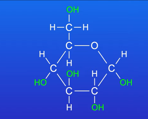 <p>Extremely soluble in water , due to large number of hydroxyl groups</p>