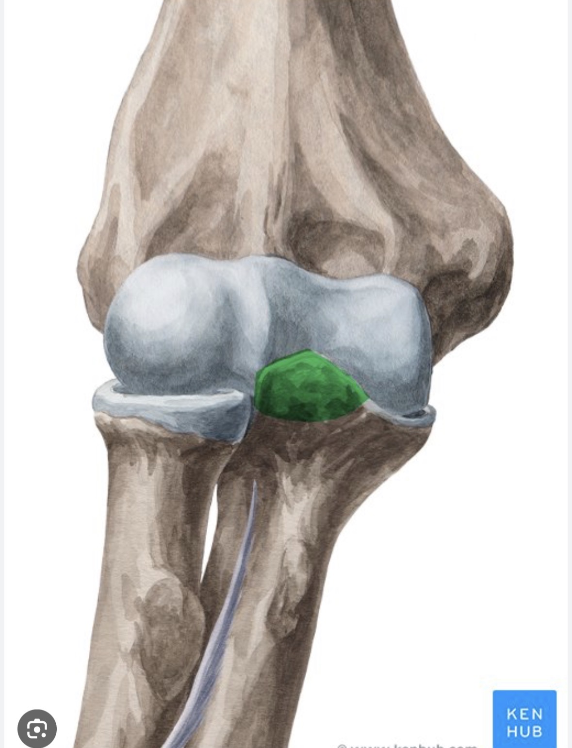 knowt flashcard image