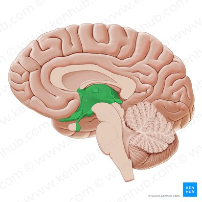 <p>What structure is shown.</p>
