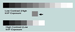 <p>Decreases density</p>
