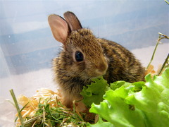 <p>April</p>