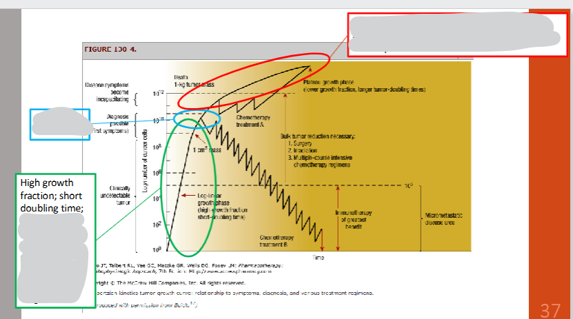<p><strong><u>TUMOR GROWTH MODEL SUMMARY</u></strong></p><ol><li><p>Green oval</p></li><li><p>Blue oval</p></li><li><p>Red oval</p></li><li><p>Downward zig zag → <strong>chemo is often continued after tumor is undetectable to ensure a maximal # of cells are killed and to prevent recurrence </strong></p></li></ol><p></p>