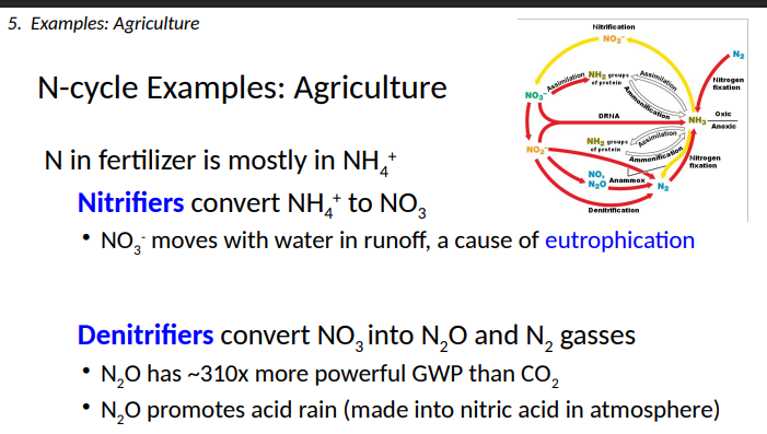 <p>N2O and N2 gasses</p><ul><li><p>N2O has ~310x more powerful GWP than CO2 </p></li><li><p>N2O promotes acid rain (made into nitric acid in atmosphere)</p></li></ul><p></p>