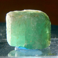 <p>ngọc lục bảo</p>