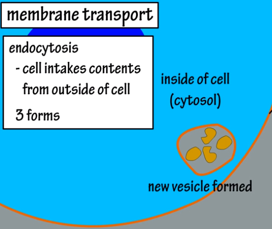 <p><span>Which one of these is NOT a forms of endocytosis?</span></p>
