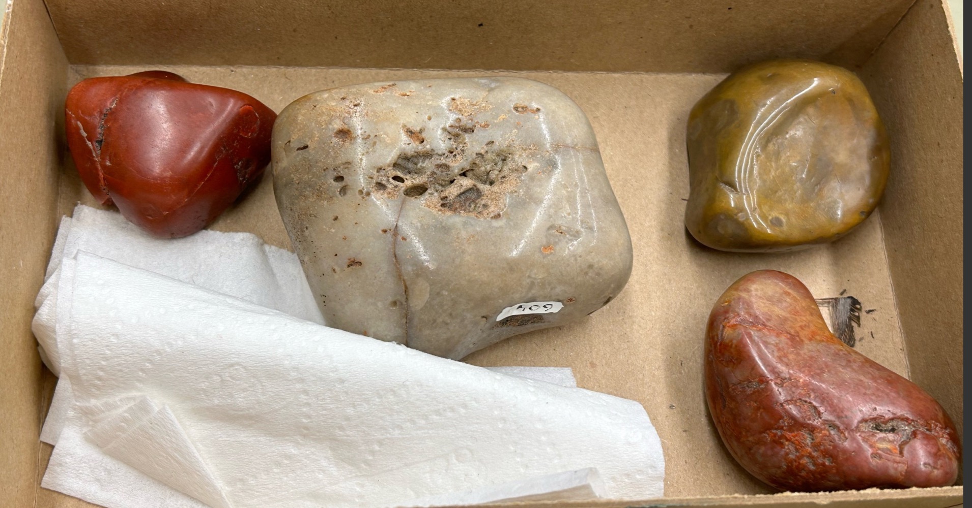 <p>What are these?</p>