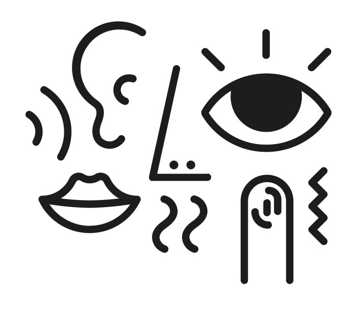 <p>all my senses are heightened!</p>