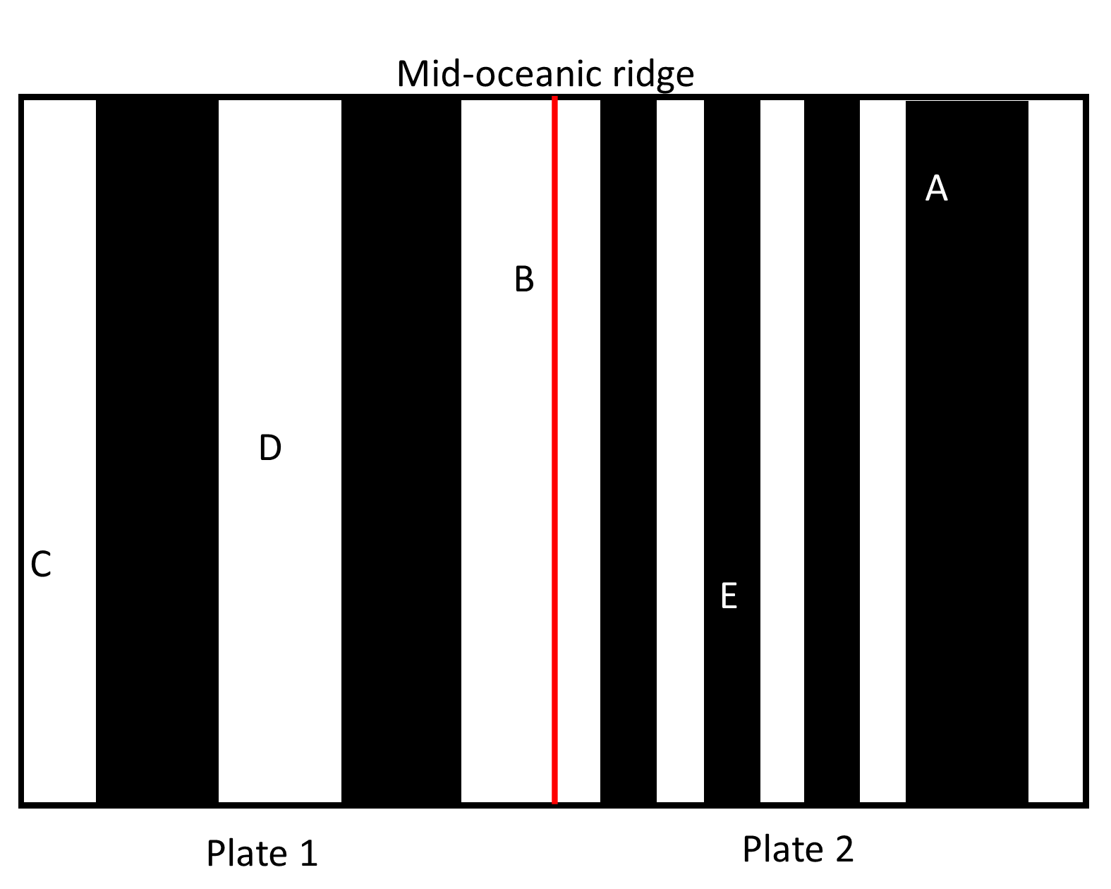 <p><span>Which plate generally moved the fastest?</span></p>