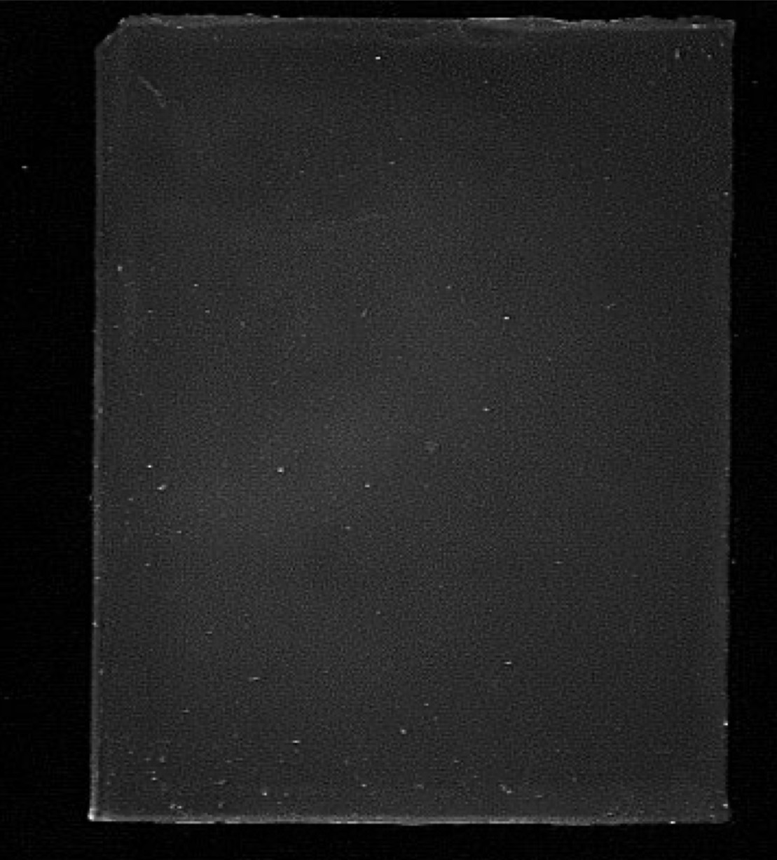 <p>Shows no DNA in the agarose gel following transfer to the membrane, after ethidium bromide staining and exposure to UVA’s light; represents a successful transfer with high efficiency. All DNA is now on the membrane.</p>