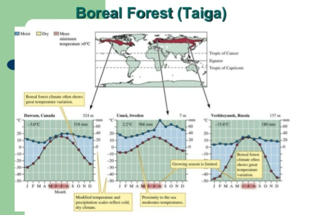 <p><span style="background-color: transparent;">Graph: bow like graph. It legit looks like a bow</span></p>