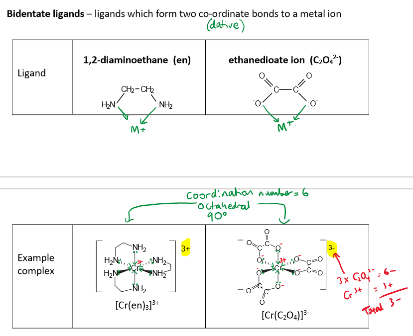<ul><li><p>en (1,2-diaminoethane)</p></li><li><p>Ox (ethanedioate ions)</p></li></ul><p>Bidentate ligands form two coordinate bonds to a metal ion</p><p></p>