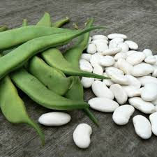 <p>bean</p>