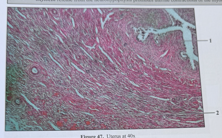 <p>what is this?</p>