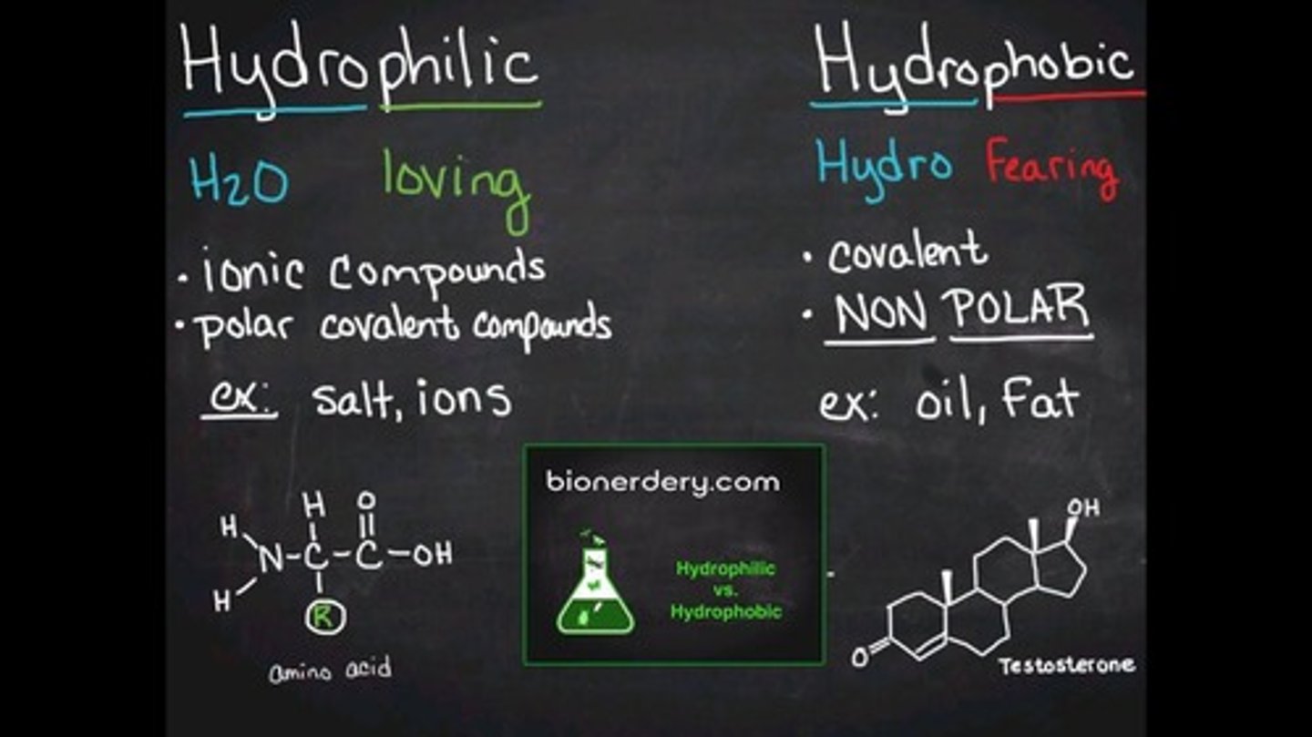 <p>Substances that are chemically attracted to water and can dissolve in it.</p>