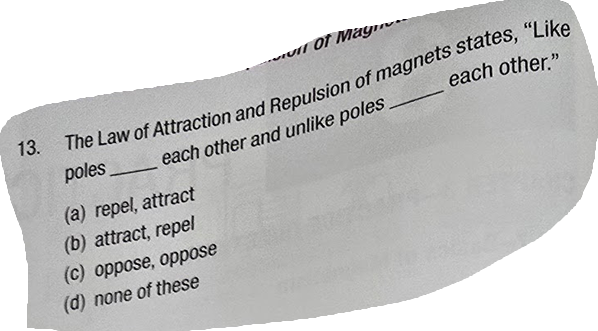term image