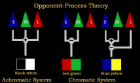 <p>Opponent Process Theory </p>