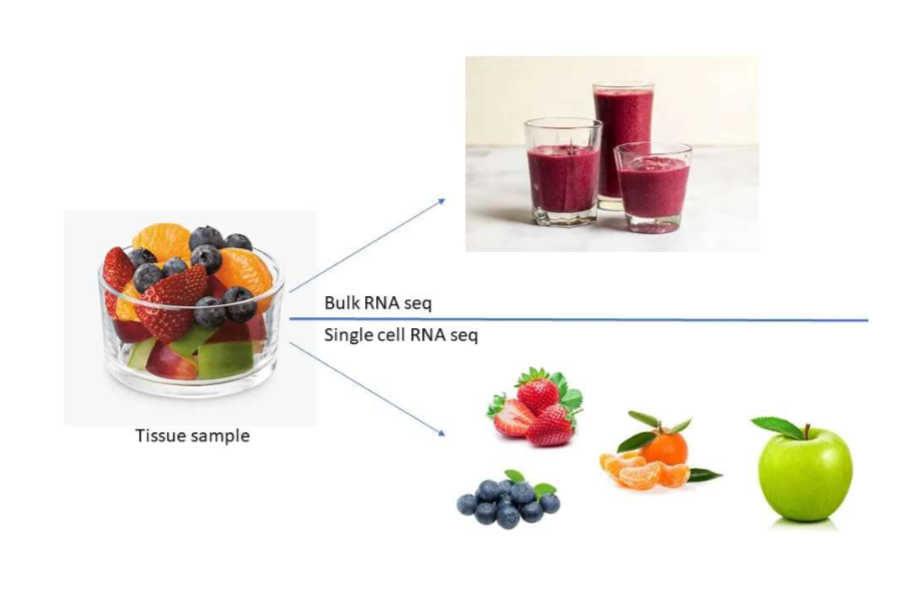 <p>measures the average gene expression level across a pop of cells or tissues, rather than individual cells. combines RNA from all cells into a single measurement</p>