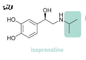 <p><strong>N-alkyl substitution</strong></p><ul><li><p>Noradrenaline has selectivity to α receptors</p></li><li><p>Adrenaline works as well at both</p></li></ul><p>Difference in structure – a methyl group</p><ul><li><p>Alkyl groups can affect selectivity</p></li><li><p>Increasing the size of the alkyl group – increased β-selectivity</p></li></ul><p>Isoprenaline has full β-selectivity,isopropyl group,tertiary butyl group (Enhances further)</p>