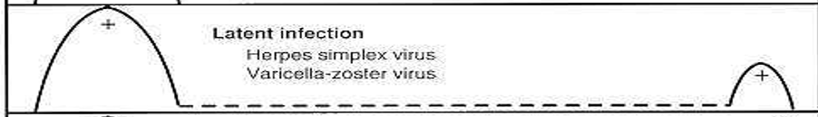<p>an extreme version of persistent infections that can remain dormant and then reappear </p>