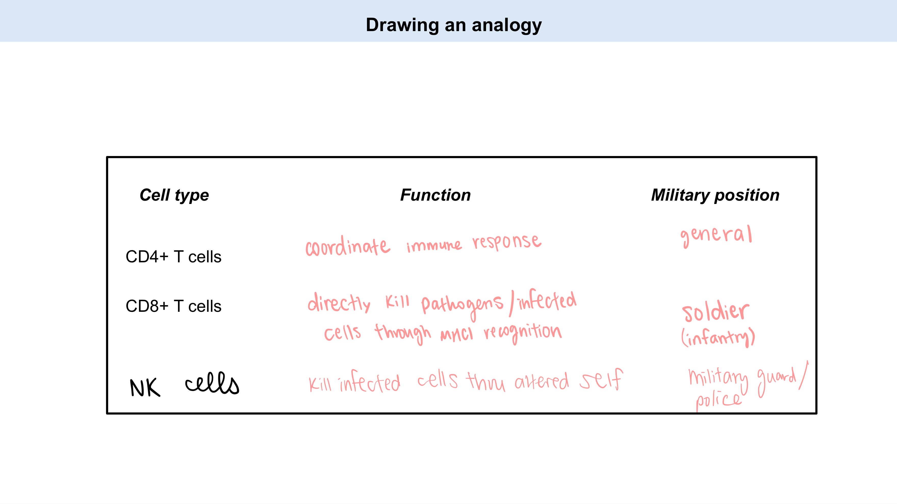 <table style="min-width: 75px;"><colgroup><col style="min-width: 25px;"><col style="min-width: 25px;"><col style="min-width: 25px;"></colgroup><tbody><tr><td colspan="1" rowspan="1" style="overflow: hidden; padding: 2px 3px; vertical-align: bottom; font-weight: bold;"><p><strong>Cell type</strong></p></td><td colspan="1" rowspan="1" style="overflow: hidden; padding: 2px 3px; vertical-align: bottom; font-weight: bold;"><p><strong>Function</strong></p></td><td colspan="1" rowspan="1" style="border-right: 1px solid transparent; overflow: visible; padding: 2px 0px; vertical-align: bottom; font-weight: bold;"><p><strong>Military Position</strong></p></td></tr><tr><td colspan="1" rowspan="1" style="overflow: hidden; padding: 2px 3px; vertical-align: bottom;"><p>CD4+ T cells</p></td><td colspan="1" rowspan="1" style="overflow: hidden; padding: 2px 3px; vertical-align: bottom;"><p></p></td><td colspan="1" rowspan="1" style="overflow: hidden; padding: 2px 3px; vertical-align: bottom;"><p>general</p></td></tr><tr><td colspan="1" rowspan="1" style="overflow: hidden; padding: 2px 3px; vertical-align: bottom;"><p>CD8+ T cells</p></td><td colspan="1" rowspan="1" style="overflow: hidden; padding: 2px 3px; vertical-align: bottom;"><p>_</p></td><td colspan="1" rowspan="1" style="overflow: hidden; padding: 2px 3px; vertical-align: bottom;"><p>soldier</p></td></tr><tr><td colspan="1" rowspan="1" style="overflow: hidden; padding: 2px 3px; vertical-align: bottom;"><p>NK cells</p></td><td colspan="1" rowspan="1" style="overflow: hidden; padding: 2px 3px; vertical-align: bottom;"><p>_</p></td><td colspan="1" rowspan="1" style="overflow: hidden; padding: 2px 3px; vertical-align: bottom;"><p>military guard</p></td></tr></tbody></table><p></p><p>Fill in FUNCTION!</p>