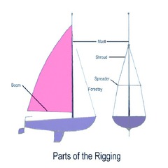<p>Rigging wires extending up from the sides of the boat to the mast that keep the mast from falling to either side. Attached to the spreader.</p>