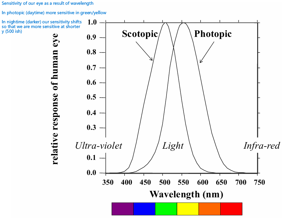 <ul><li><p>photopic sensitivity curve (<strong>V(λ)</strong> , for bright conditions), or </p></li><li><p>scotopic sensitivity curve ( <strong>V(λ)’</strong> , for dim conditions)</p></li></ul><p></p><ul><li><p>in the nighttime our sensitivity shifts so that we are more sensitive to shorter wavelengths! </p></li></ul><p></p>