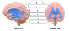 <p>#2</p>