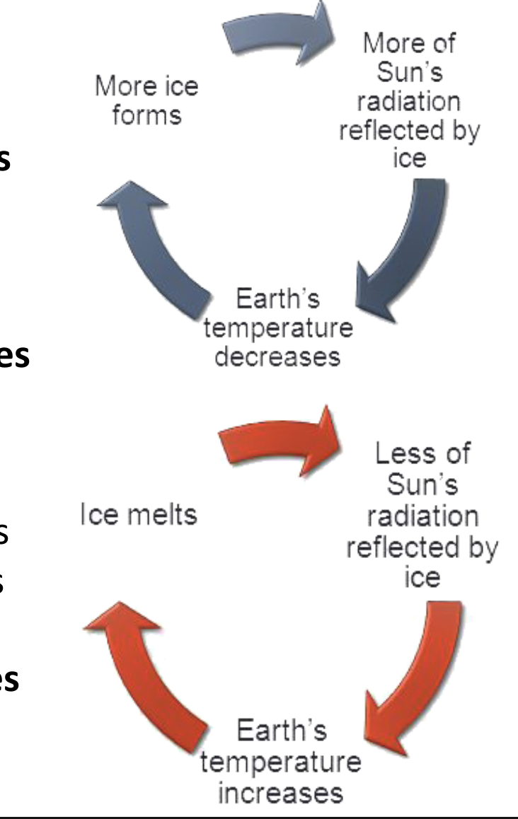 <ul><li><p>if earth’s temperature slightly drops, more ice forms</p><ul><li><p>this ice reflects more of the sun’s radiation and earth’s temperature decreases even more</p></li></ul></li><li><p>if earth’s temperature slightly increases, more ice melts</p><ul><li><p>more of the sun’s radiation is absorbed, and earth’s temperature increases even more</p></li></ul></li></ul><p></p>
