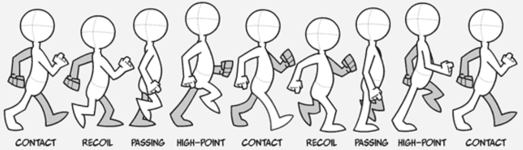 <ul><li><p>Arms tend to swing in opposition to the legs.</p></li><li><p>This reflex action is usually without obvious muscular action and serves to balance rotation of the pelvis.</p></li><li><p>Maximum flexion of shoulder and elbow occurs at heel strike of opposite foot.</p></li><li><p>Maximum extension of shoulder and elbow occurs at heel strike of same foot.</p></li></ul><p></p>
