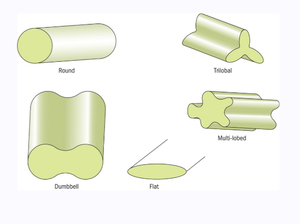 <p>It is a <strong>distinctive characteristic determined</strong> by the manufacturing process </p><p>Natural Fibers: Cotton shows kidney-bean or ribbon-like shape. Wool exhibits circular to oval cross-section with scales. Silk displays triangular morphology.</p><p>Synthetic Fibers</p><p>Cross-sections vary widely: round, trilobal, pentalobal, dog-bone, or irregular shapes determined by spinneret design during manufacturing.</p>