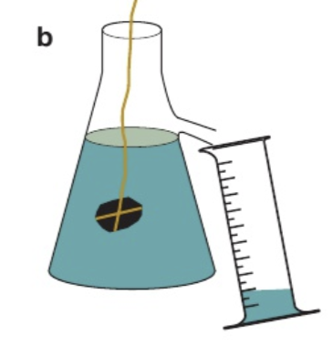 <ul><li><p>Measure mass of balloon using a balance/weighing scales</p><ul><li><p>REJECT scale</p></li></ul></li><li><p>Use the displacement method</p></li><li><p>Measure original volume of water</p></li><li><p>Place ballon gently in water</p></li><li><p>Make sure ballon is fully submerged</p></li><li><p><span style="color: purple;">Re-measure volume of water</span> OR <span style="color: green;">water is displaced into a measuring cylinder</span></p></li><li><p><span style="color: purple;">Subtract one volume from the other</span></p></li><li><p><em>ρ =</em> m/v</p></li></ul><p></p>