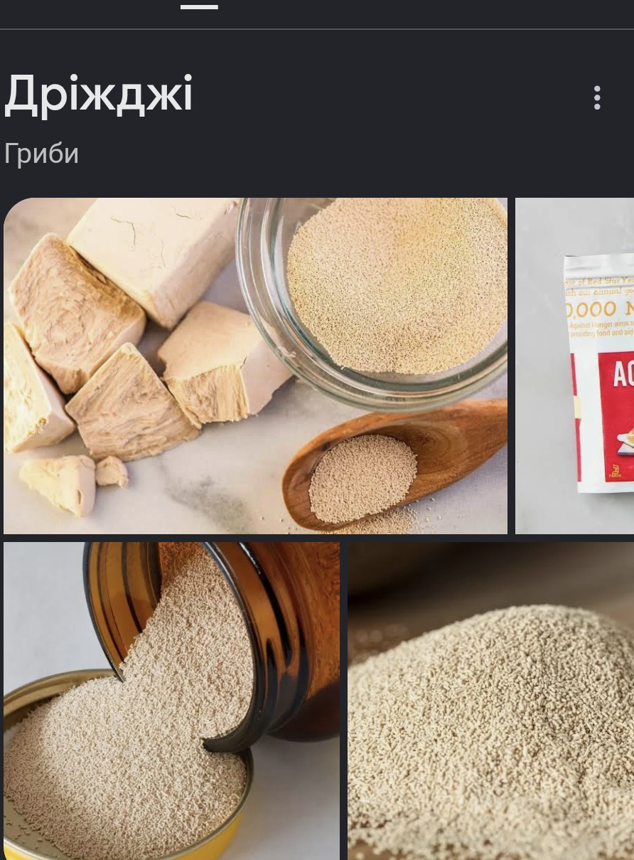 <p>дрожжи</p>
