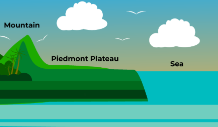 <p>Piedmont</p>