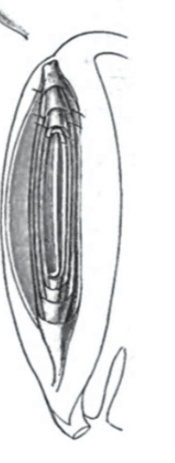 <p>What is this?</p>