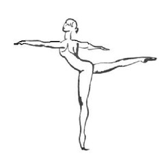<p>body is balanced over one foot with the other leg fully extended</p>